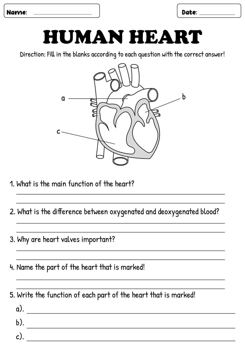13 Heart Health Worksheets Free PDF At Worksheeto