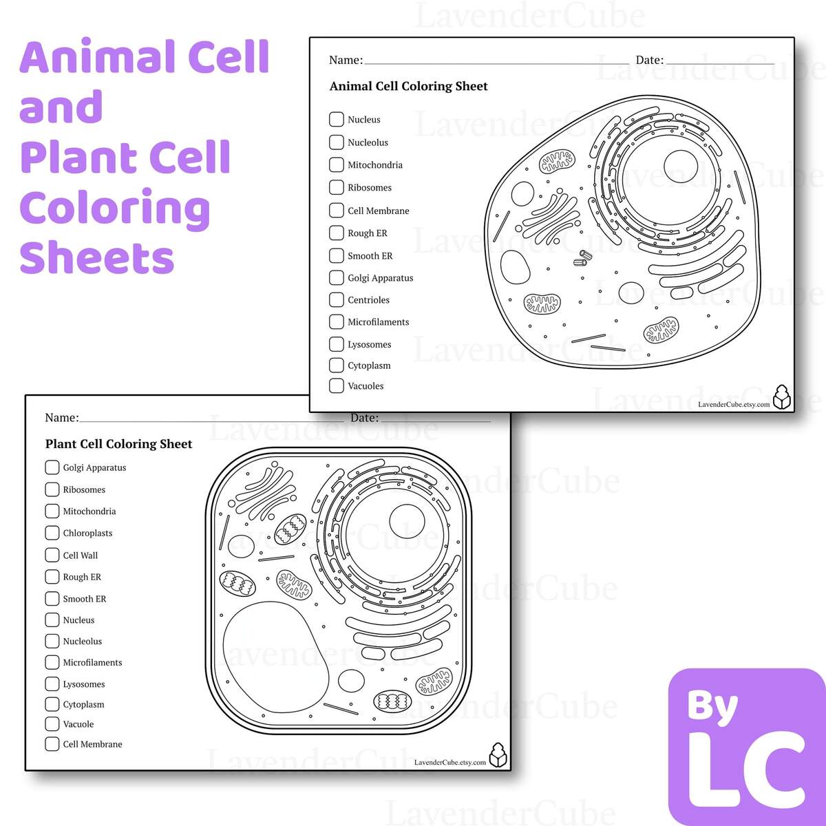 Plant Cell Coloring Page Easy Drawing Guides