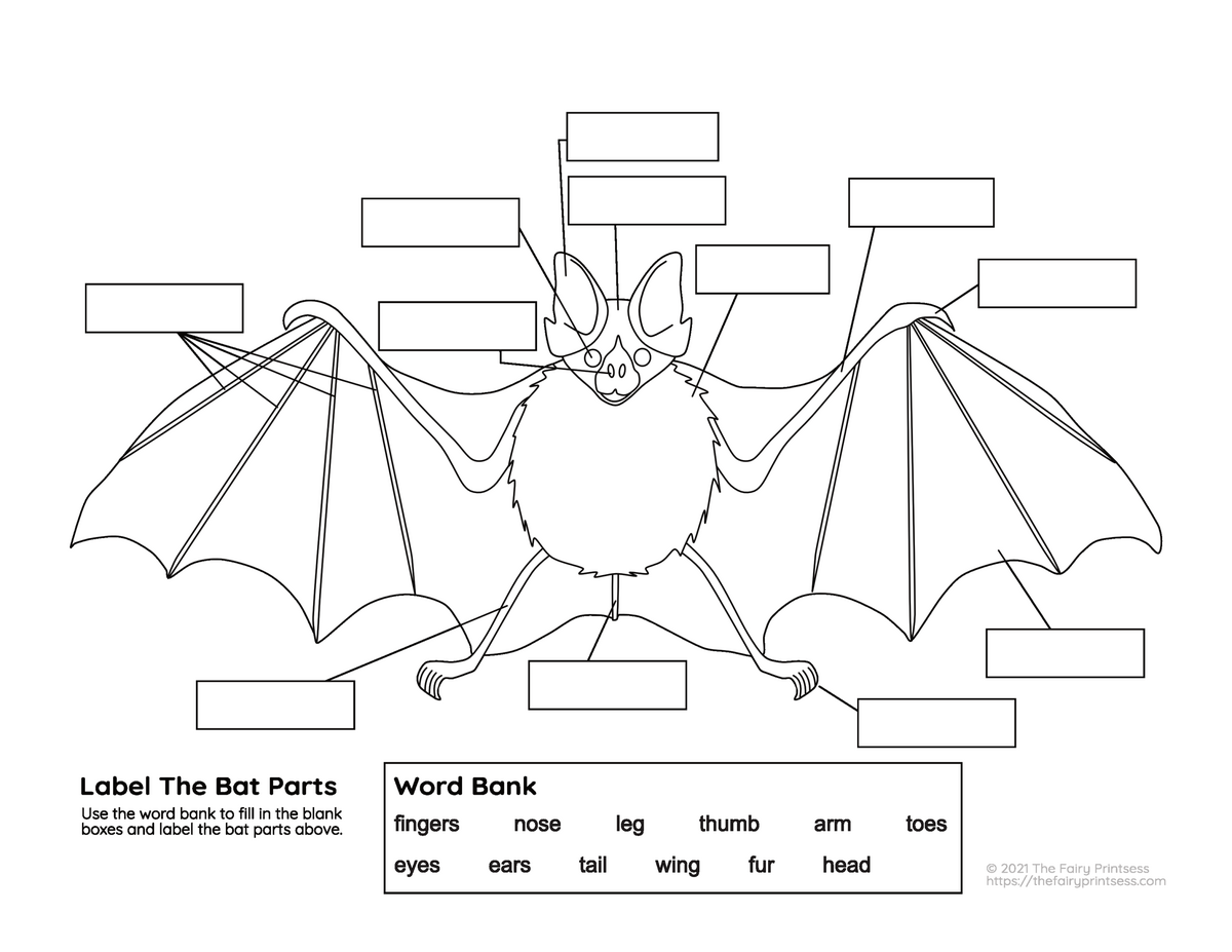 Bat Parts Free Printable Activities Perfect For Learning Animal Science Bat Parts Free Printable Activities Perfect For Learning Animal Science