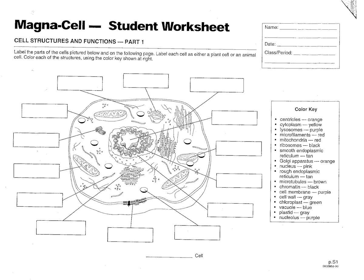 Printable 7th Grade Science Worksheets Download