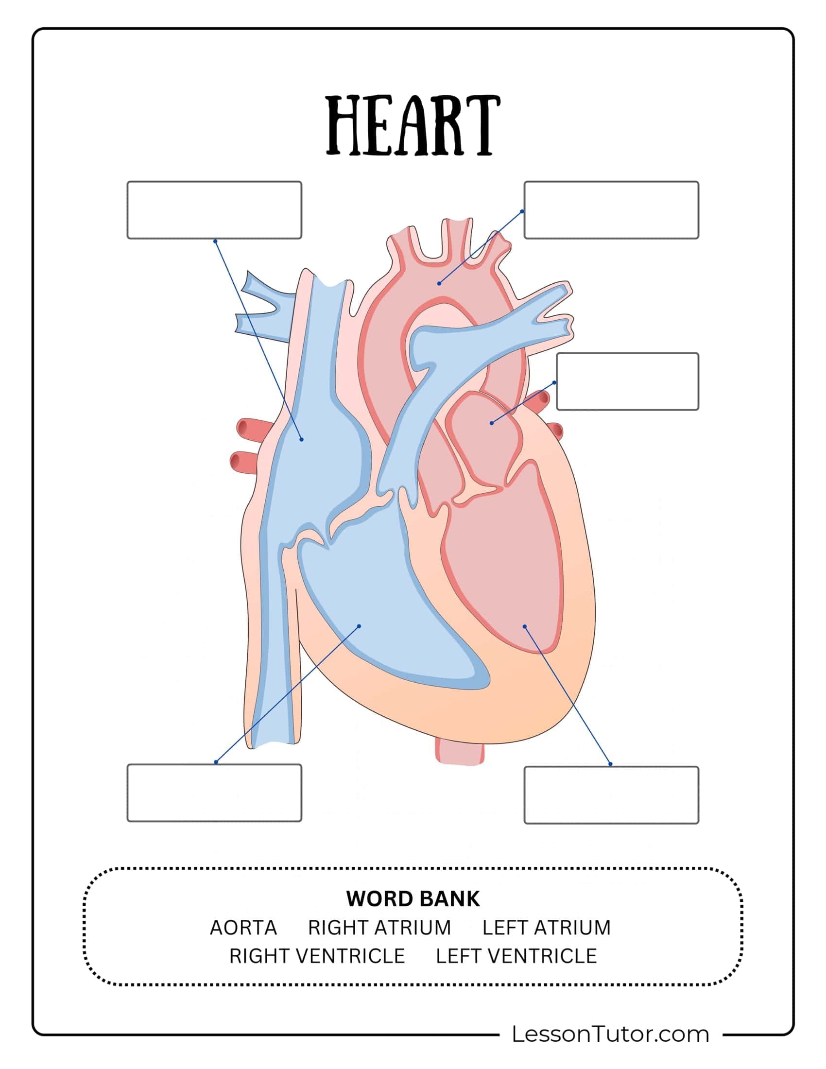 Circulatory System Worksheets Free Coloring Pages PDF Printables And Worksheets Lesson Tutor Free Circulatory System Labeling Worksheet