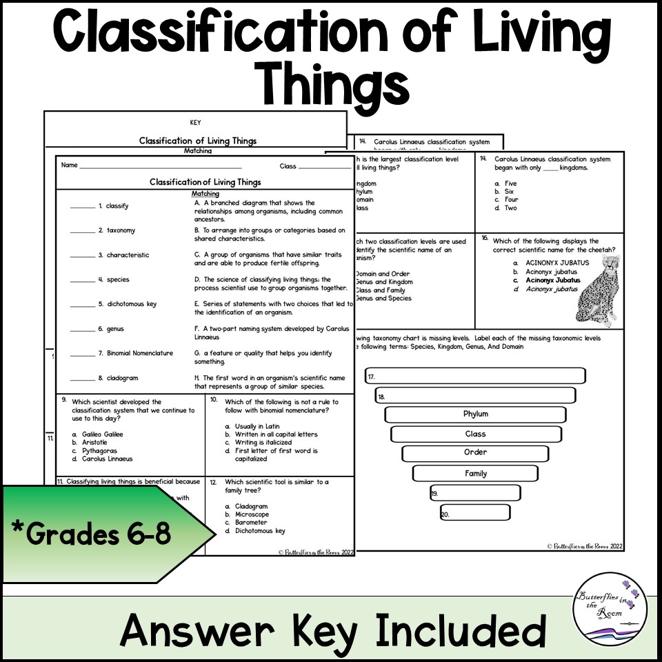 Classification Of Living Things Worksheet Classful