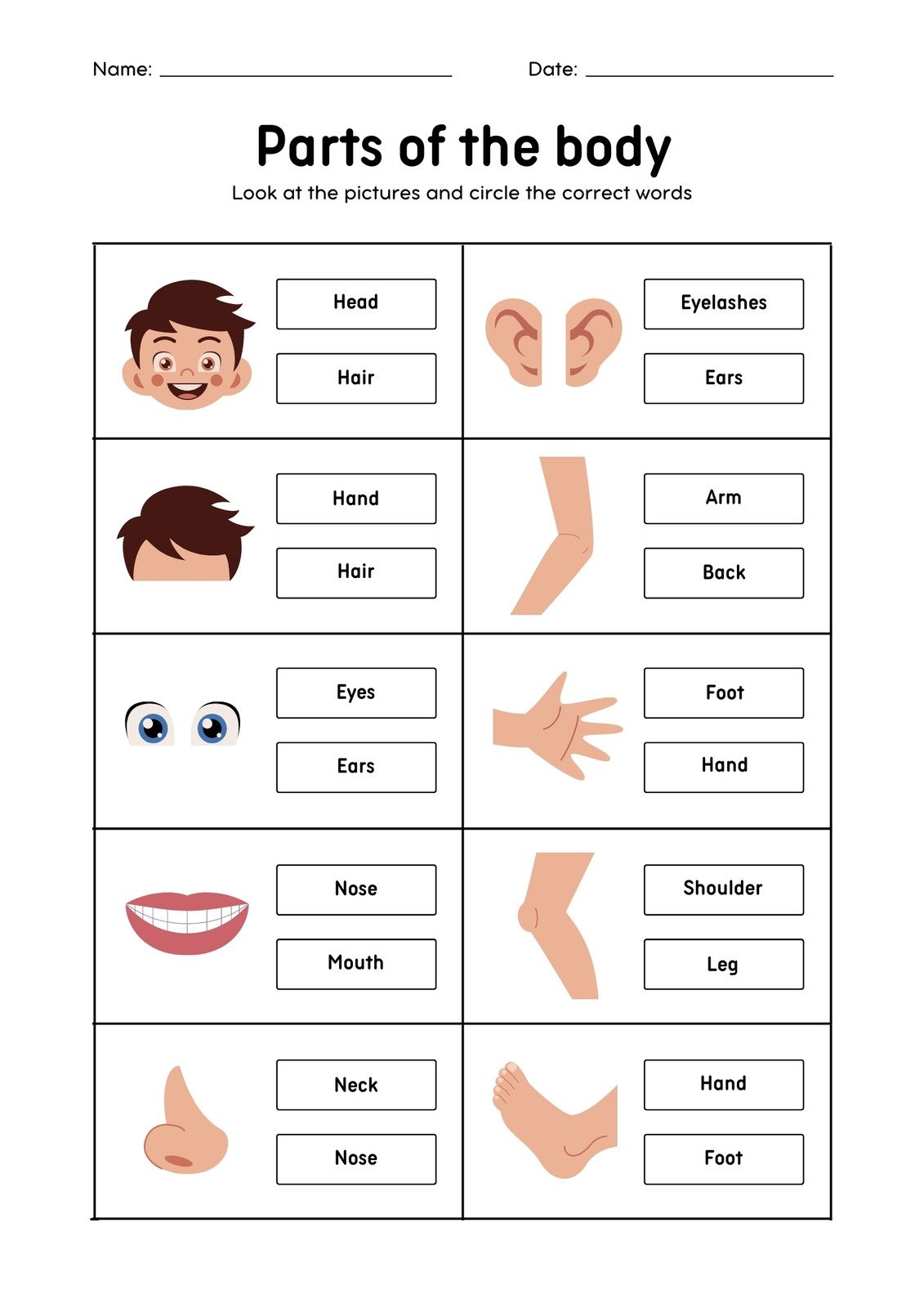 Free Printable Human Body Systems Worksheets For Kids