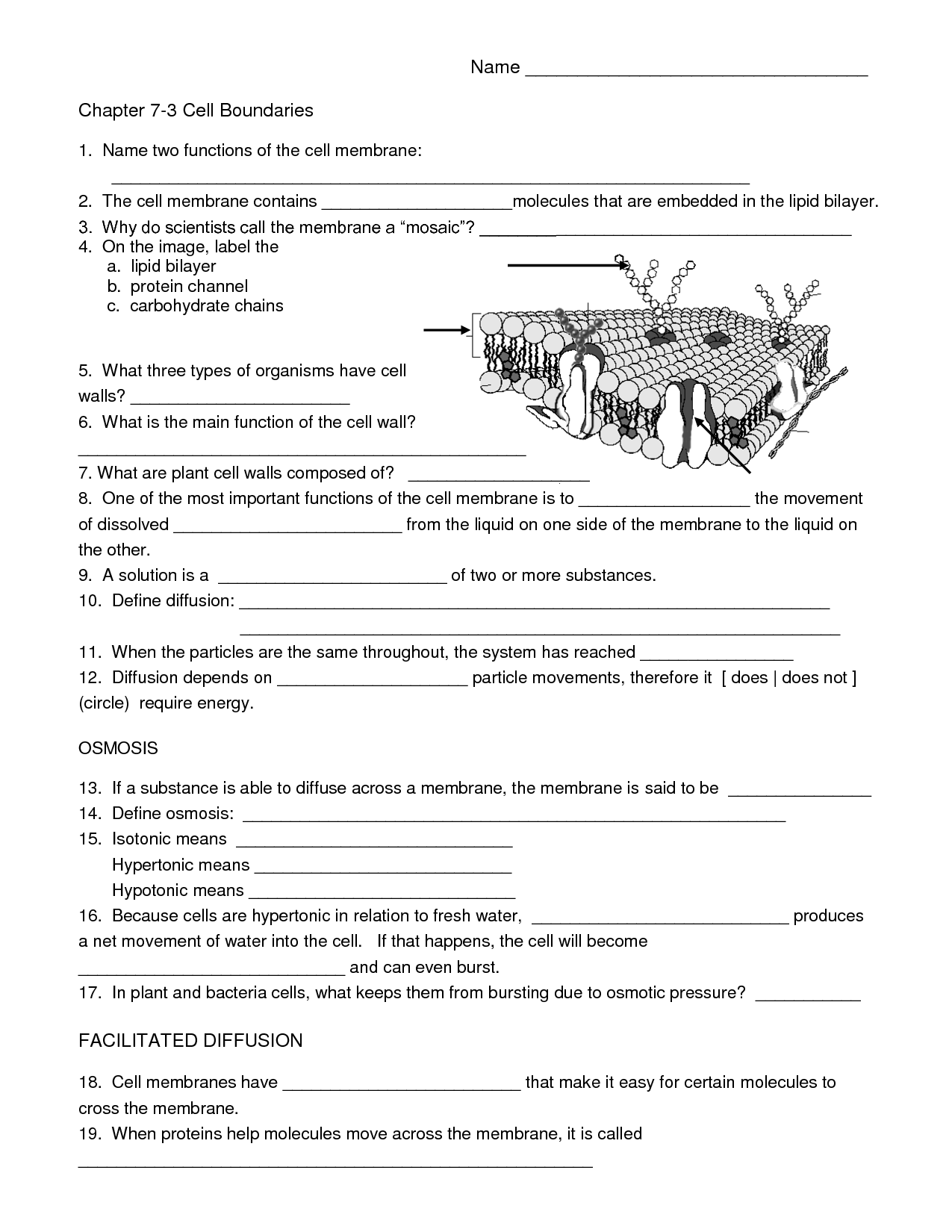 Engaging 8th Grade Science Worksheets Stimulate Learning Exploration