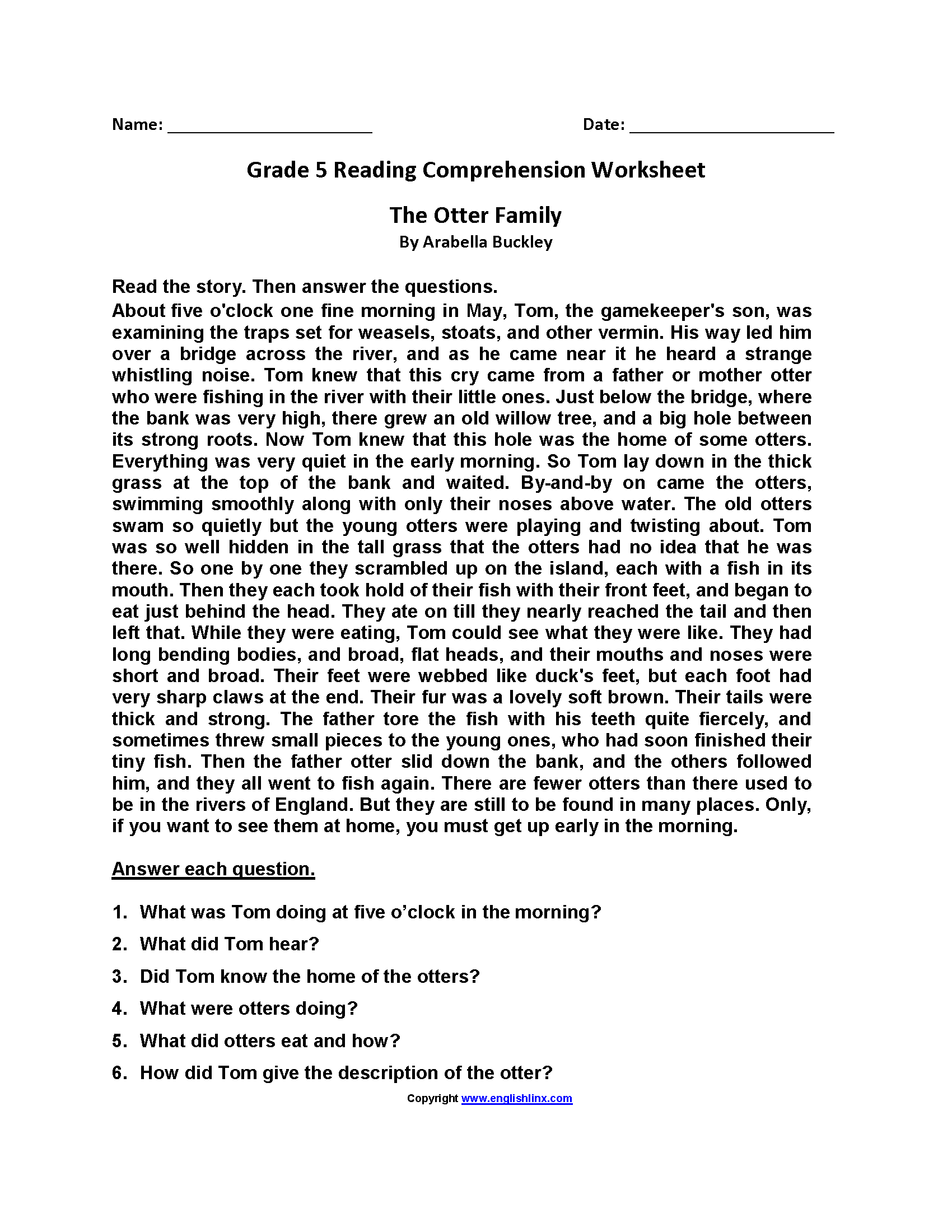 Fifth Grade Reading Comprehension Worksheets
