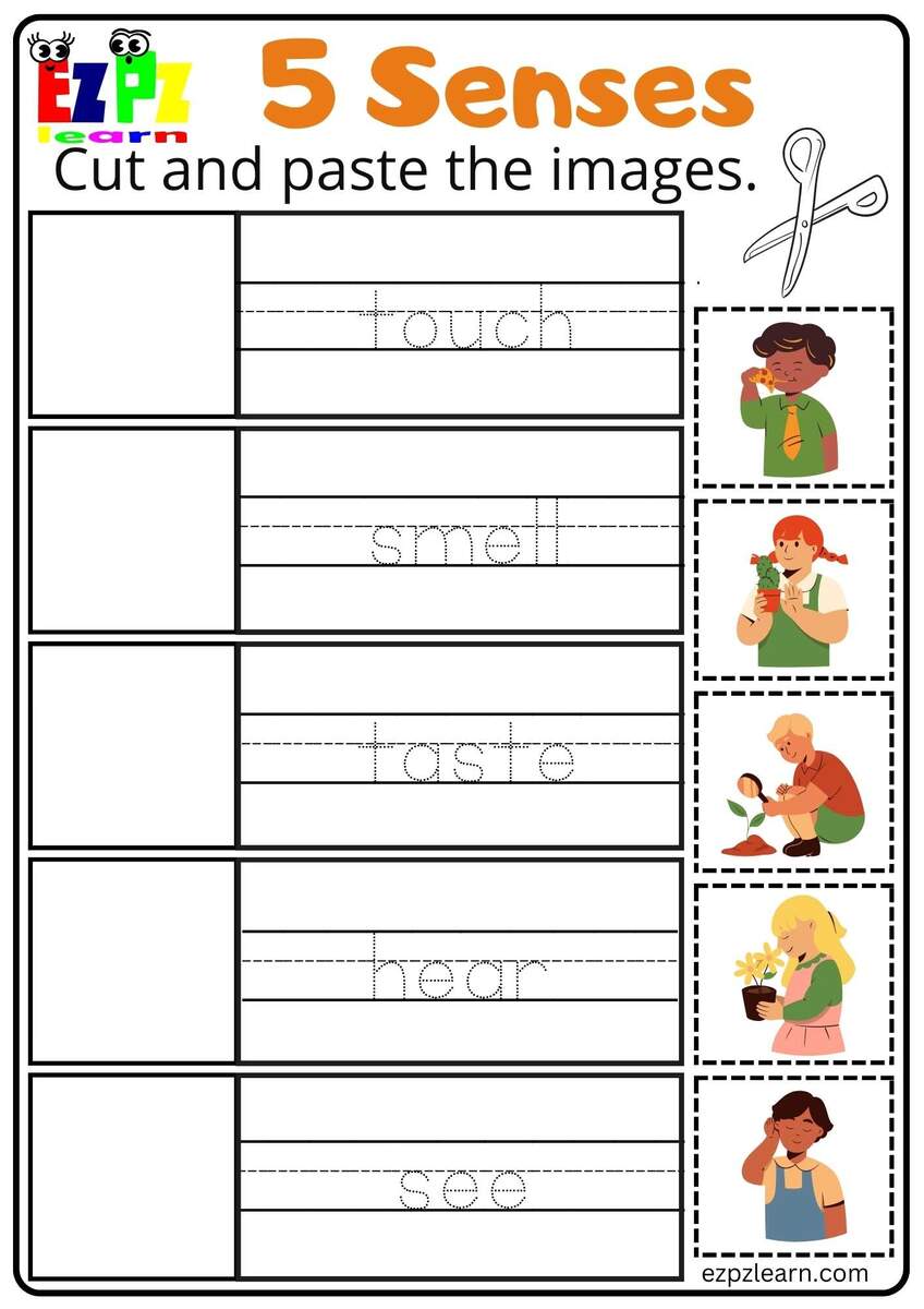 Five Senses Cut And Paste Worksheet For Kindergarten And ESL Students Free Download Ezpzlearn Free Printable Cut And Paste Five Senses Worksheet