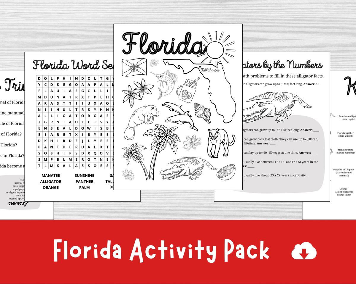 Florida Worksheet Etsy