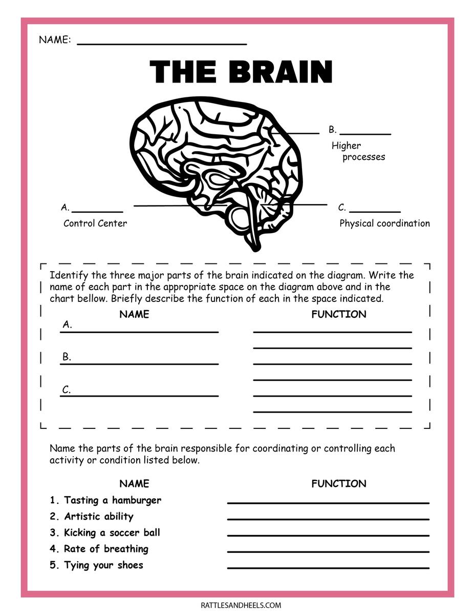 Planets Of The Solar System Solar System Worksheet Space Science Teaching Resources