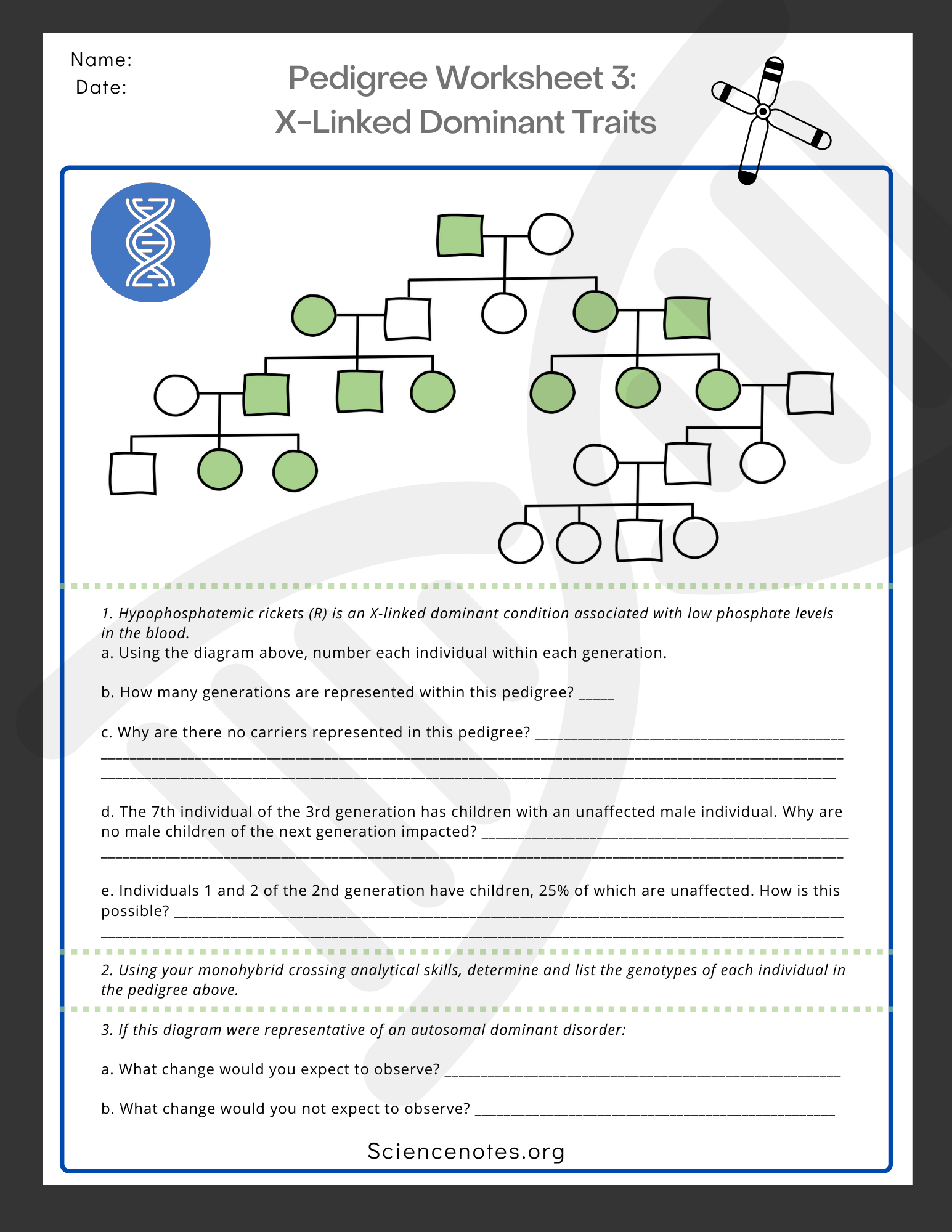 Genetics Worksheets And Printables