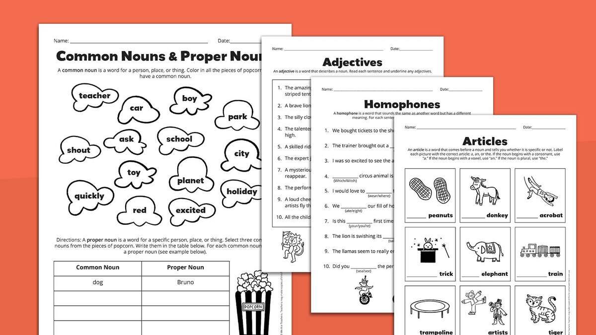 Circle The Nouns In A Sentence Free Worksheet