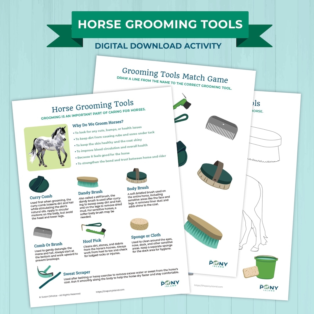 Horse Grooming Tools Activity PDF Download Etsy Horse Grooming Tools Activity PDF Download Etsy
