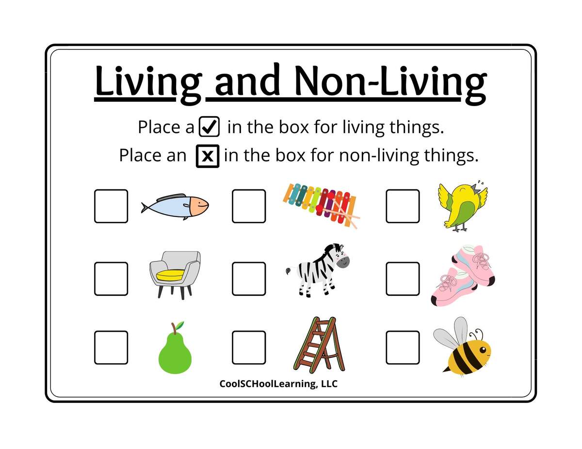 Living And Non Living Printable Preschool Activities Kindergarten Readiness PDF Digital Download Etsy Sweden