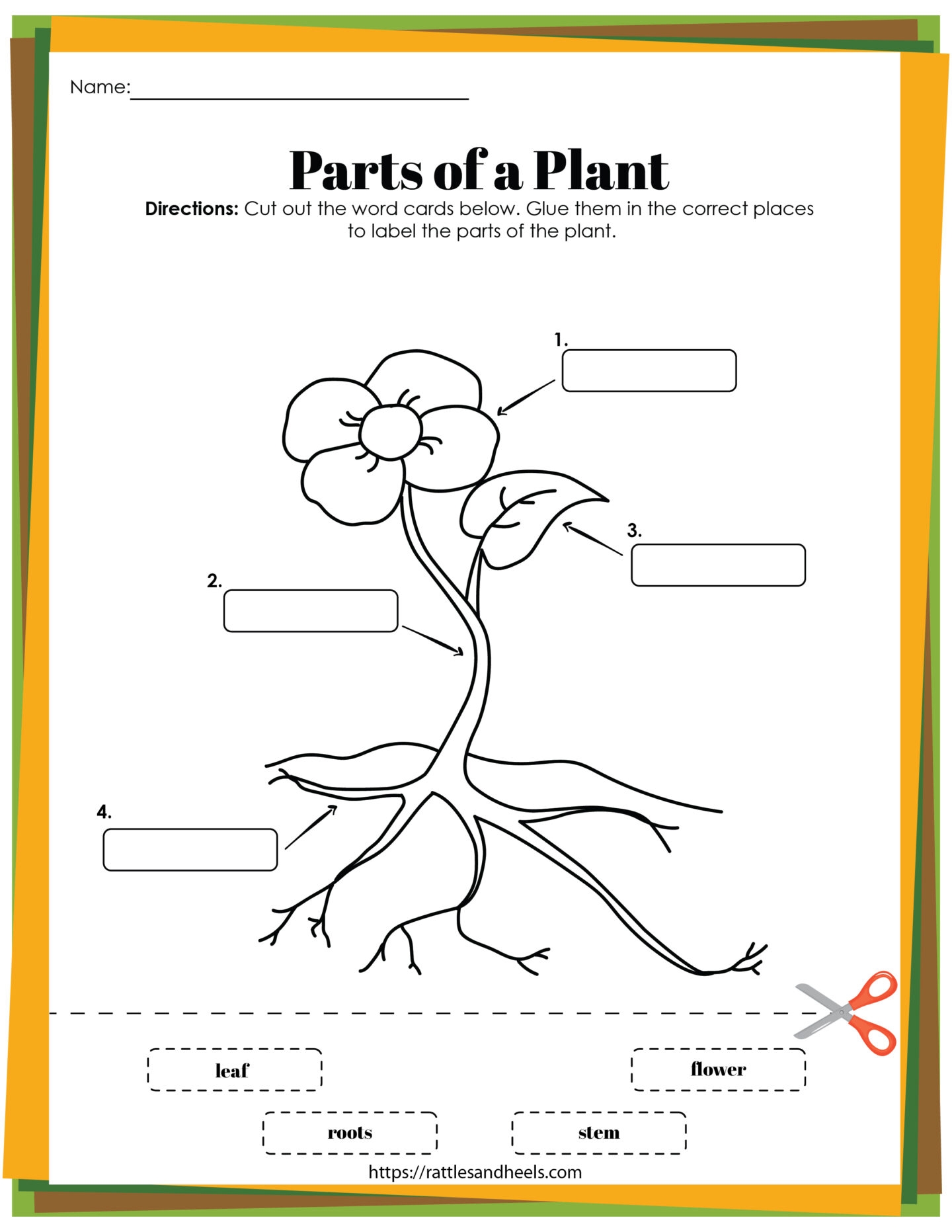 Life Cycle Of A Plant Worksheet Free Printable Digital PDF