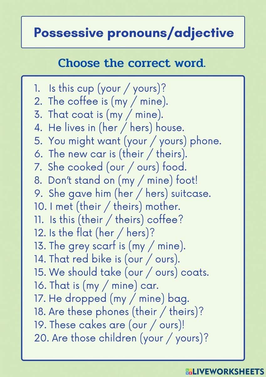 Possessive Pronound Adjective Worksheet