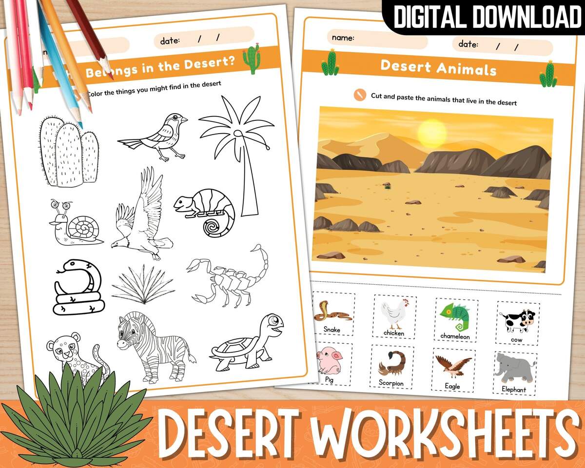 Printable Desert Worksheets For Kids Desert Animals Activities Desert Flashcards Desert Plants Desert Coloring Activity PDF Etsy