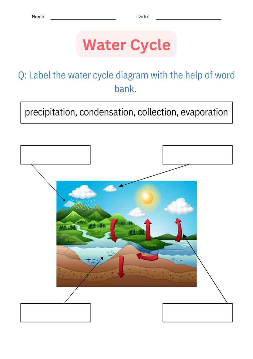 Water Cycle Worksheets