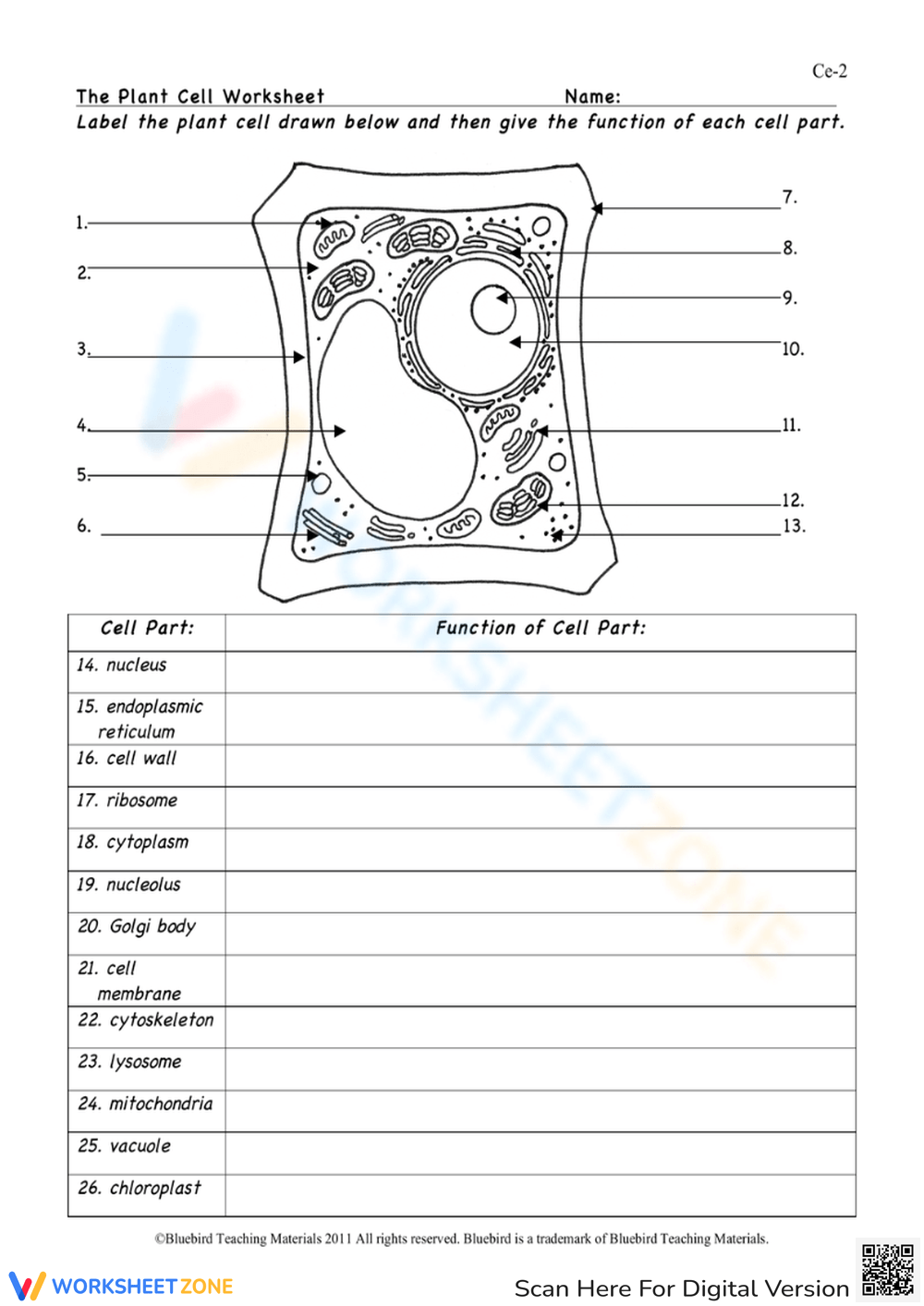 Free Plant Cell Worksheets With Answer Key The Simple Homeschooler