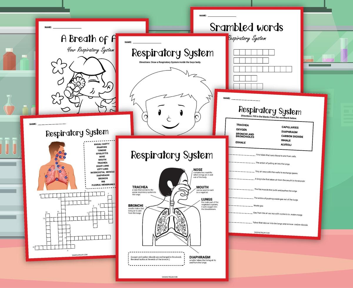 Respiratory System Respiratory Function Instant Download Kid S Worksheets Digital Download Etsy Denmark