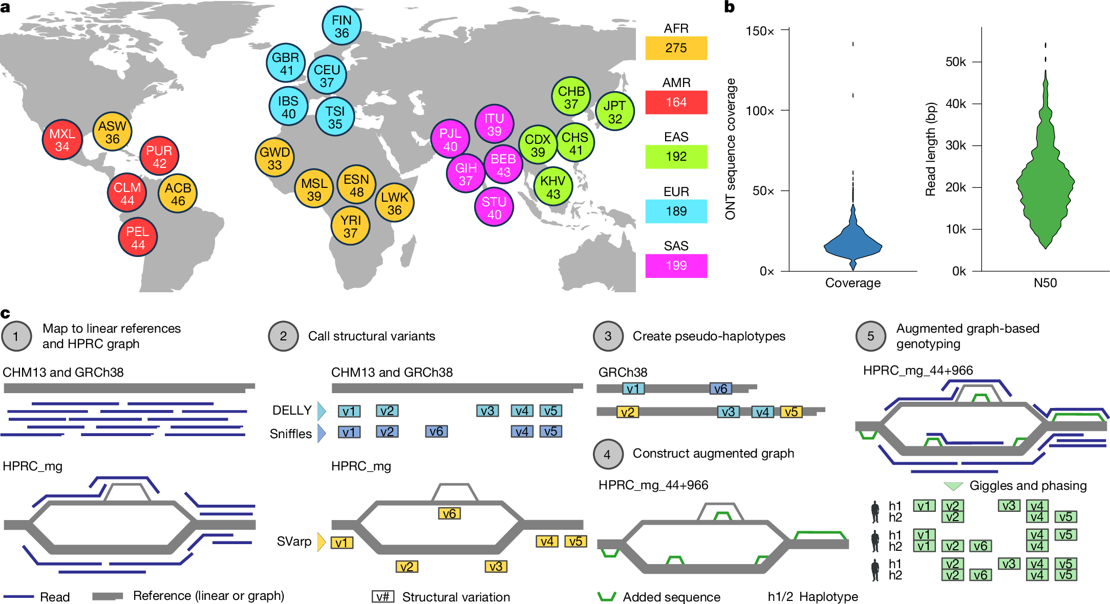 Structural Variation In 1 019 Diverse Humans Based On Long Read Sequencing Nature