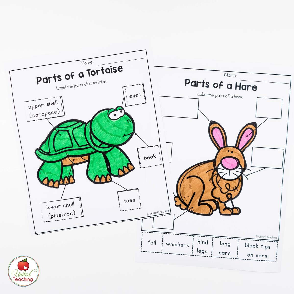 The Tortoise And The Hare Activities United Teaching