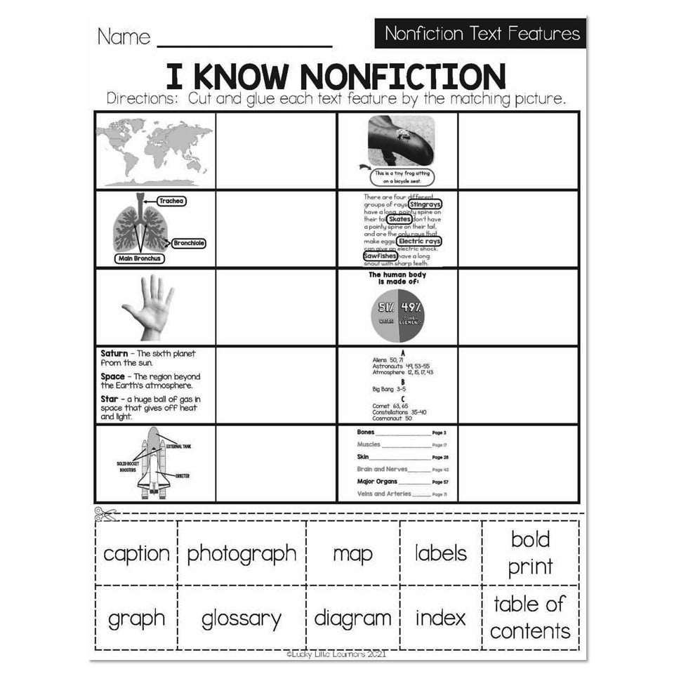 Winter Early Finishers 1st Grade ELA Nonfiction Text Worksheets Library Winter Early Finishers 1st Grade ELA Nonfiction Text Worksheets Library